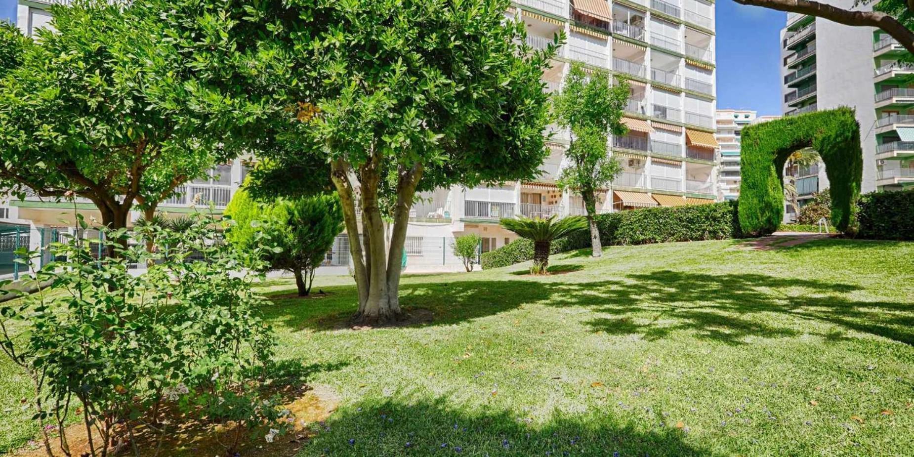 Apartamento de 3 habitaciones BRASILMAR Playa de Gandía Exterior foto